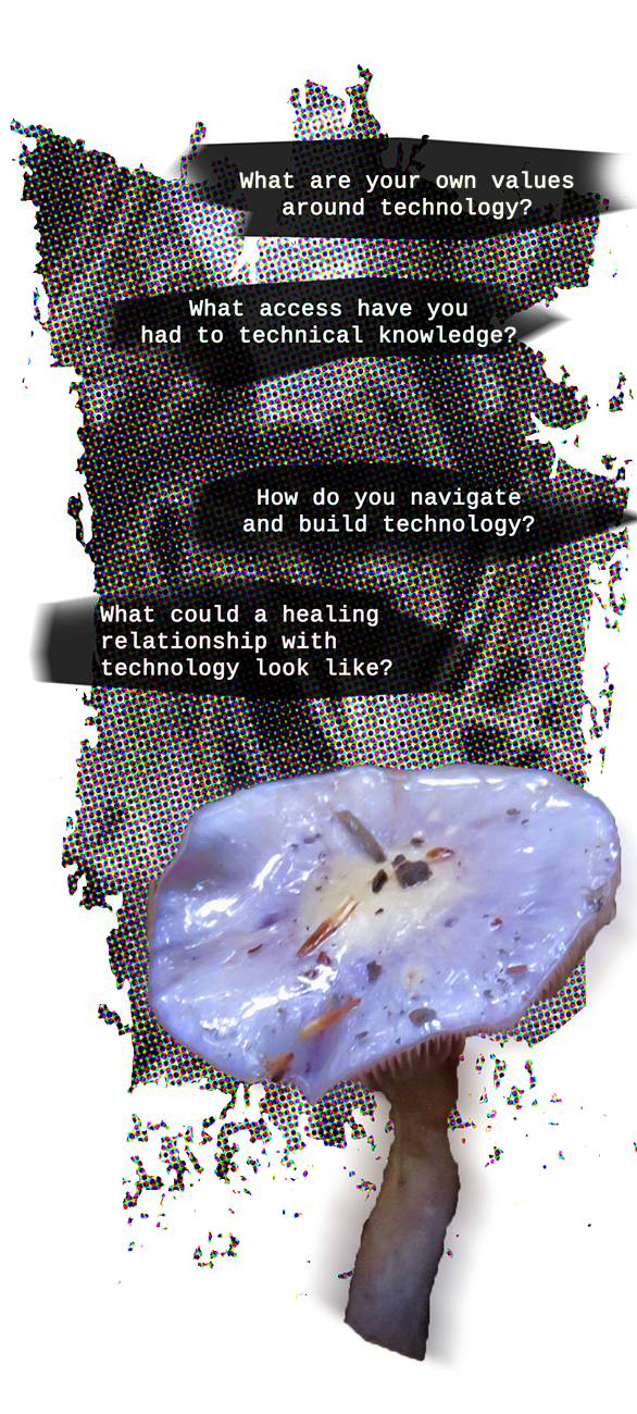 an image of a purple mushroom with four questions floating above it: what are your own values around technology? what access have you had to technical knowledge? how do you navigate and build technology? what could a healing relationsihp with technology look like?
