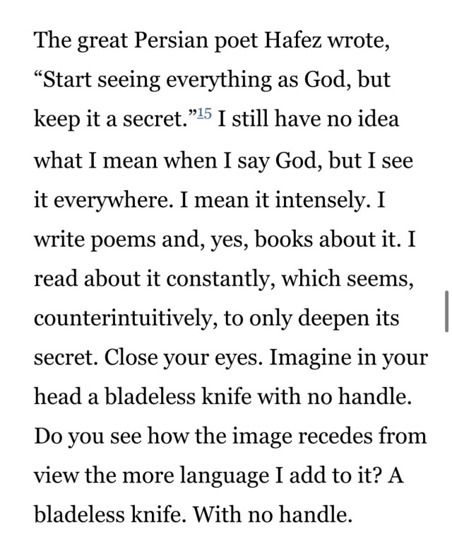 screenshot of a quote from Kaveh Akbar.